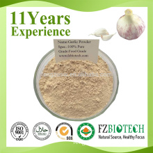 Chinese Manufacturer Wholesale Buyers 100% Pure Nature Dried Granulated Garlic Powder